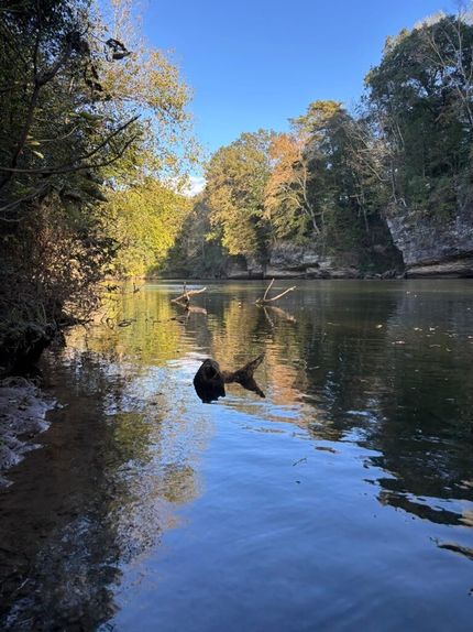 Timberland Property for sale in Polk County, Tennessee