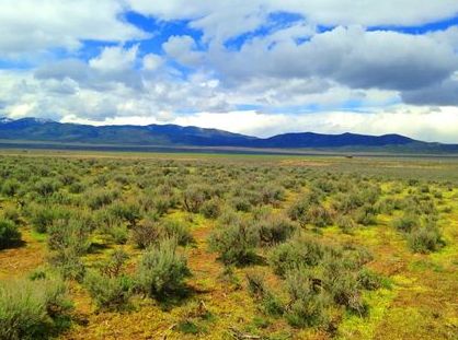 Farm and Ranch for sale in Pershing County, Nevada