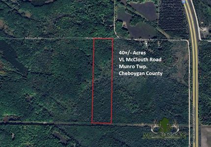 Land for sale in Cheboygan County, Michigan