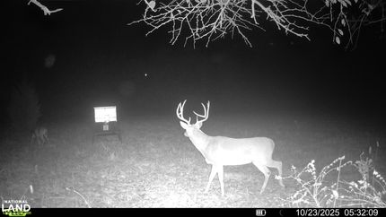 Land for sale in Hughes County, Oklahoma