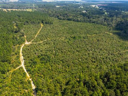 Land for sale in Beauregard Parish, Louisiana