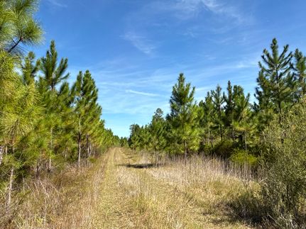 Land for sale in Gulf County, Florida
