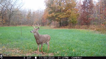 Land for sale in Greene County, Indiana