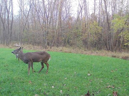 Recreational Property in Greene County, Indiana