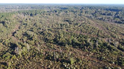 Hunting Property for sale in Walthall County, Mississippi