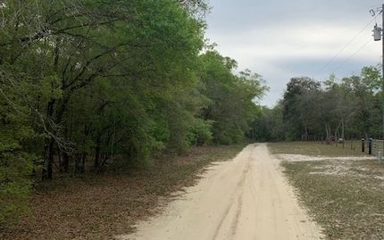 Undeveloped Land for sale in Lafayette County, Florida