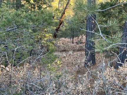 Undeveloped Land for sale in Otero County, New Mexico