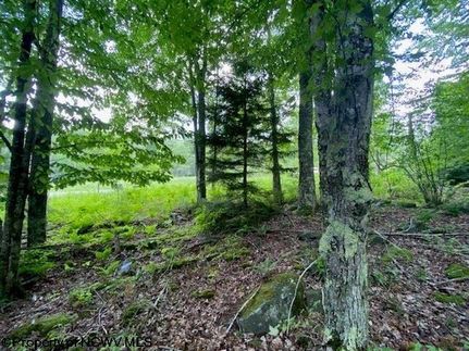Land for sale in Tucker County, West Virginia