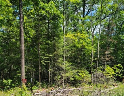 Undeveloped Land for sale in Sawyer County, Wisconsin
