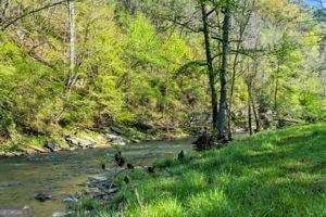 Lakefront Property for sale in Pickens County, Georgia