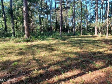 Land for sale in Pearl River County, Mississippi