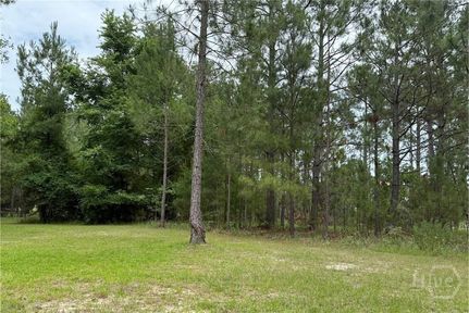 Undeveloped Land for sale in Toombs County, Georgia