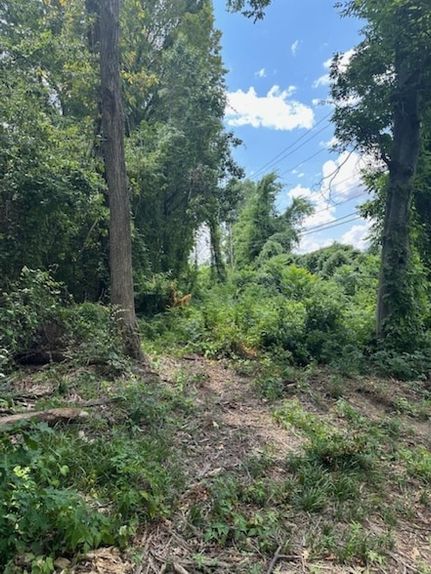 Undeveloped Land for sale in Shelby County, Tennessee