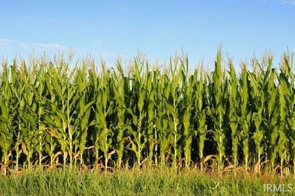 Land for sale in Huntington County, Indiana