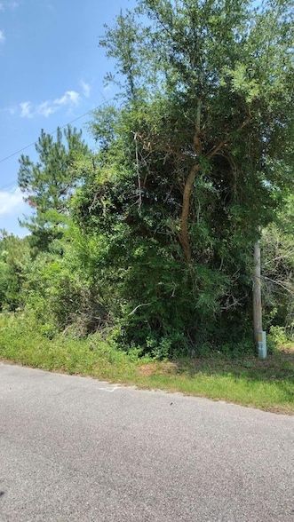 Land for sale in Clarendon County, South Carolina
