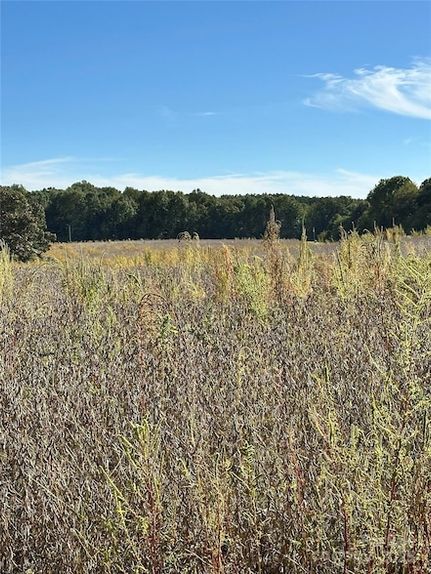 Undeveloped Land for sale in Iredell County, North Carolina