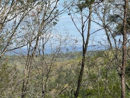 Land for sale in Lumpkin County, Georgia