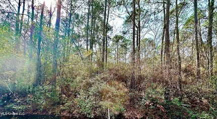 Land for sale in Jackson County, Mississippi