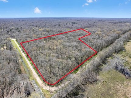 Undeveloped Land for sale in San Jacinto County, Texas
