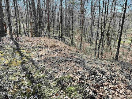 Land for sale in Randolph County, West Virginia