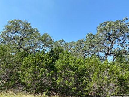Recreational Property for sale in Comal County, Texas