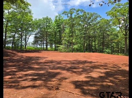 Undeveloped Land for sale in Cherokee County, Texas