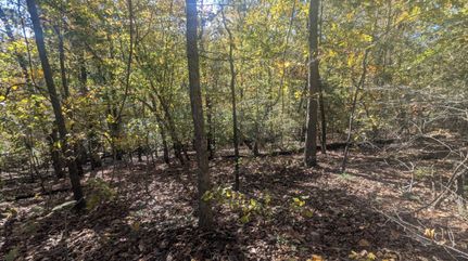 Land for sale in Calloway County, Kentucky