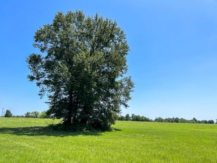 Farm and Ranch for sale in Houston County, Texas