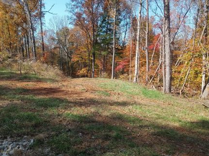 Undeveloped Land for sale in Grayson County, Kentucky
