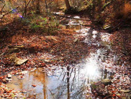 Homesite for sale in Metcalfe County, Kentucky