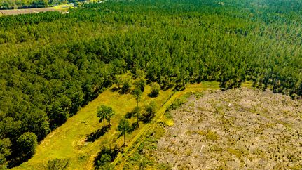 Timberland Property for sale in Evans County, Georgia