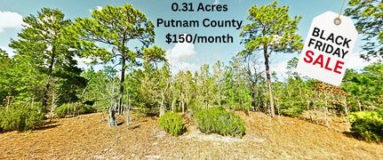 Land for sale in Putnam County, Florida