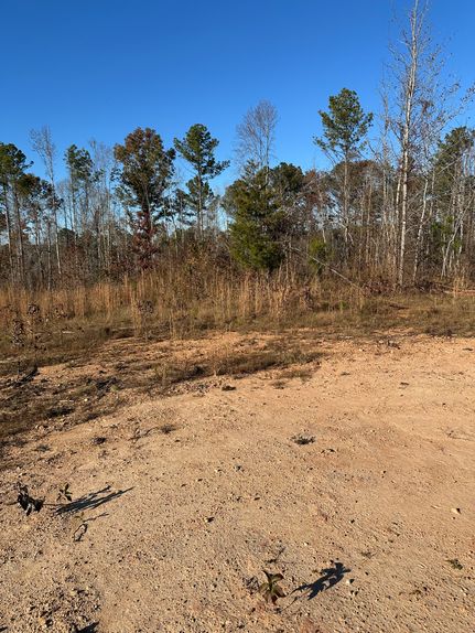 Hunting Property for sale in Wilkes County, Georgia