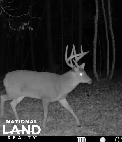 Land for sale in Lincoln County, Mississippi