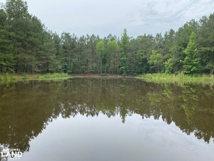 Hunting Property for sale in Calhoun County, Arkansas
