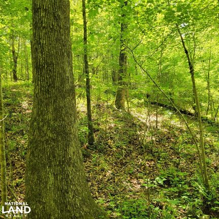 Recreational Property for sale in Talladega County, Alabama