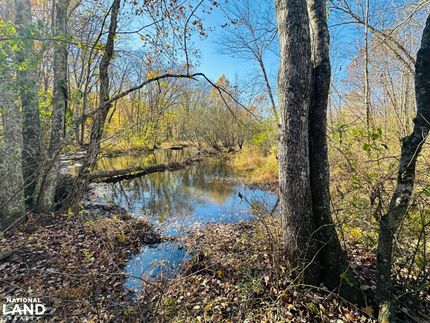 Waterfront Property for sale in Buckingham County, Virginia