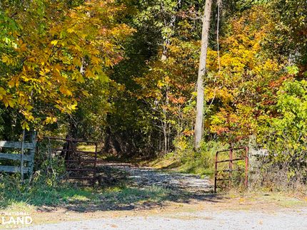 Land for sale in Pulaski County, Illinois