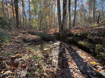 Farm and Ranch for sale in Abbeville County, South Carolina