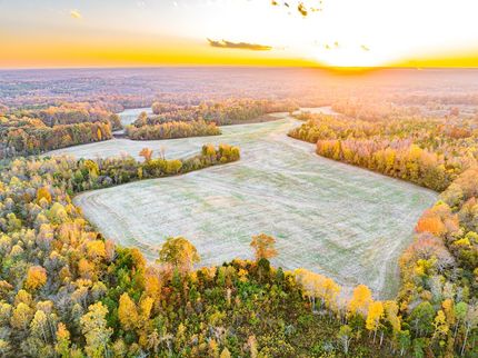 Timberland Property for sale in Carroll County, Tennessee