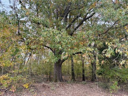 Land for sale in Lauderdale County, Tennessee