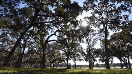 Waterfront Property for sale in Marion County, Florida