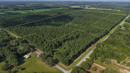 Timberland Property for sale in Walton County, Florida