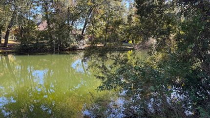 Land for sale in Baldwin County, Alabama