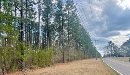 Land for sale in Lamar County, Mississippi
