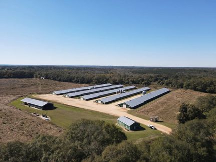 Land for sale in Pike County, Alabama