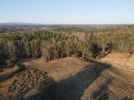 Undeveloped Land for sale in Clay County, Alabama