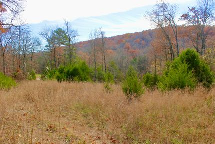 Timberland Property for sale in Madison County, Arkansas