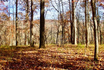 Recreational Property for sale in Madison County, Arkansas