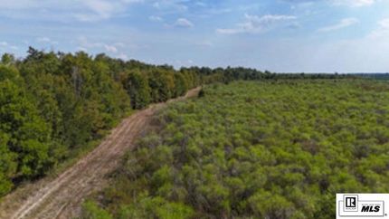 Land for sale in Richland Parish, Louisiana